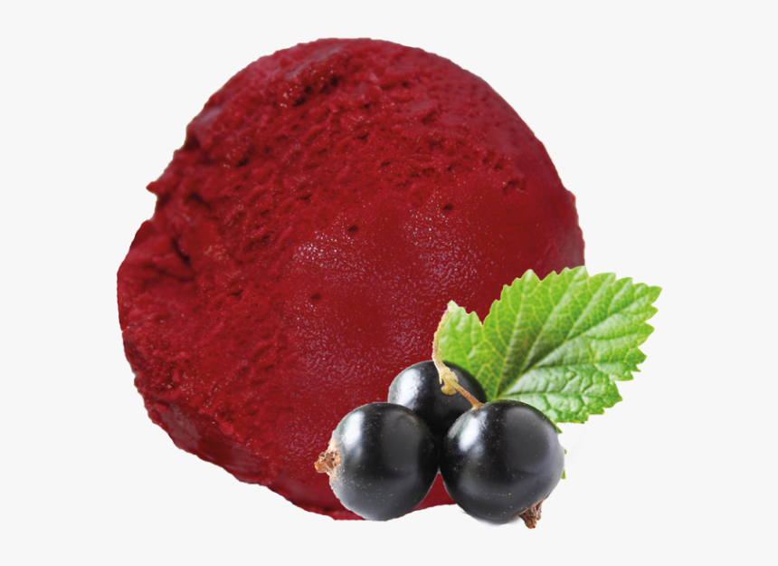 Blackcurrant, HD Png Download