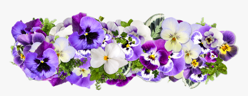 Flowers Decoration Line Of Flowers Free Picture, HD Png Download
