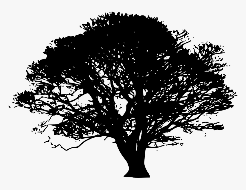 Tree Silhouette Art Clip Art - Green Tree Silhouette Png, Transparent Png