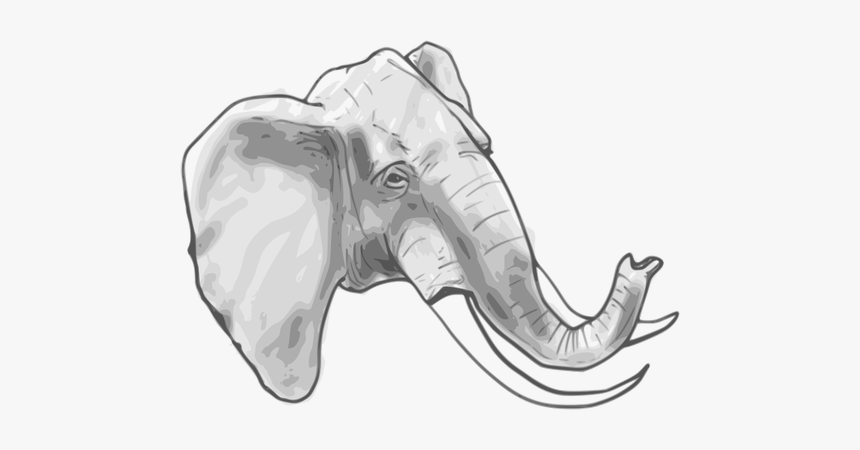 Outline Vector Graphics Of Elephant - Elephant Head Coloring Page, HD Png Download