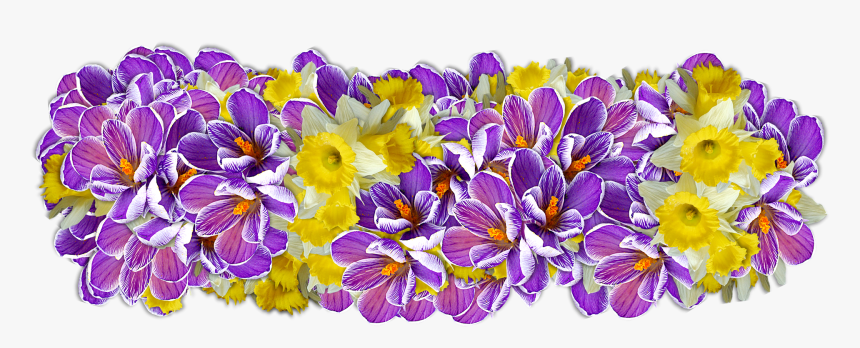 Flowers Decoration Line Of Flowers Free Picture - Portable Network Graphics, HD Png Download