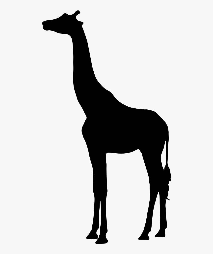 Silhouette West African Giraffe Clip Art - Silhouette Giraffe Vector, HD Png Download