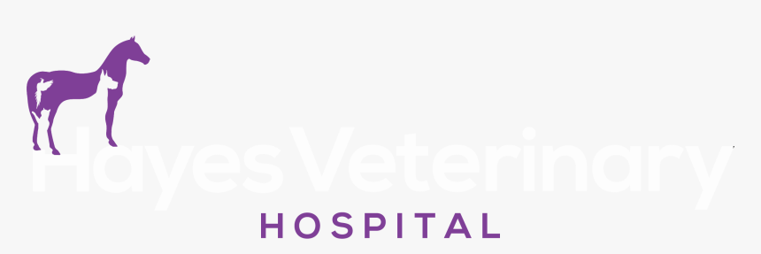 Metergenius, HD Png Download