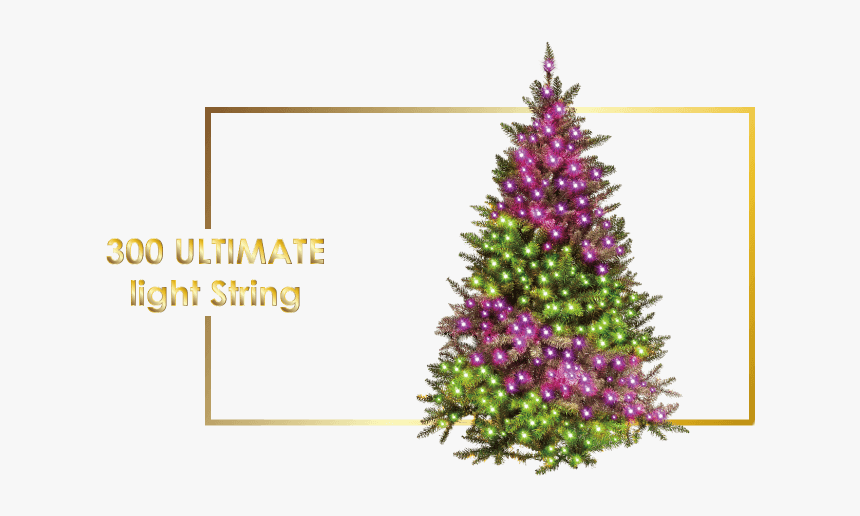 Christmas Tree, HD Png Download