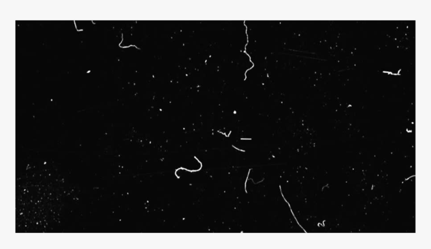 Python Tips And Tricks, HD Png Download