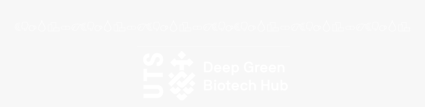 Johns Hopkins White Logo, HD Png Download