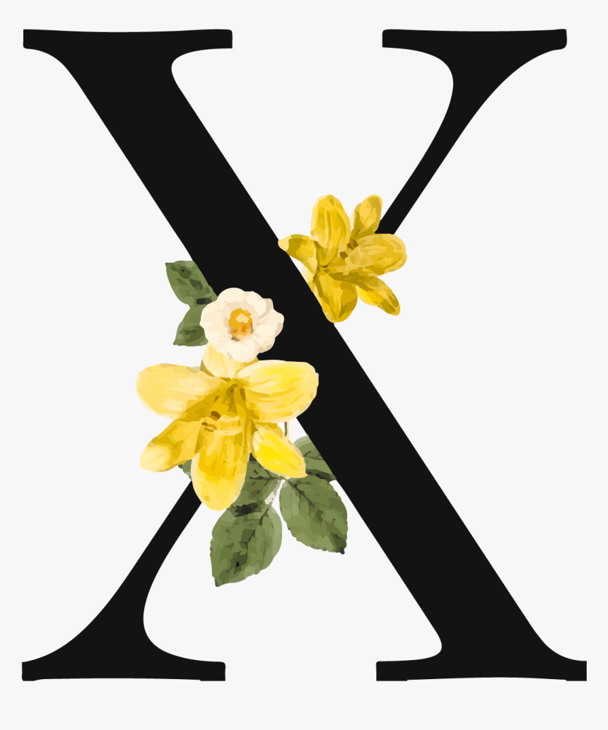 Dexandra Logo, HD Png Download