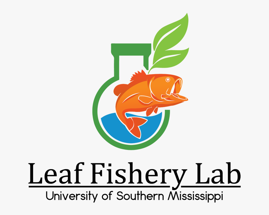 Logo Design By Anjelord For Division Of Coastal Sciences, - Graphic Design, HD Png Download