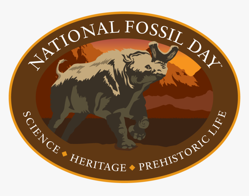 St. Andrew's First Aid, HD Png Download