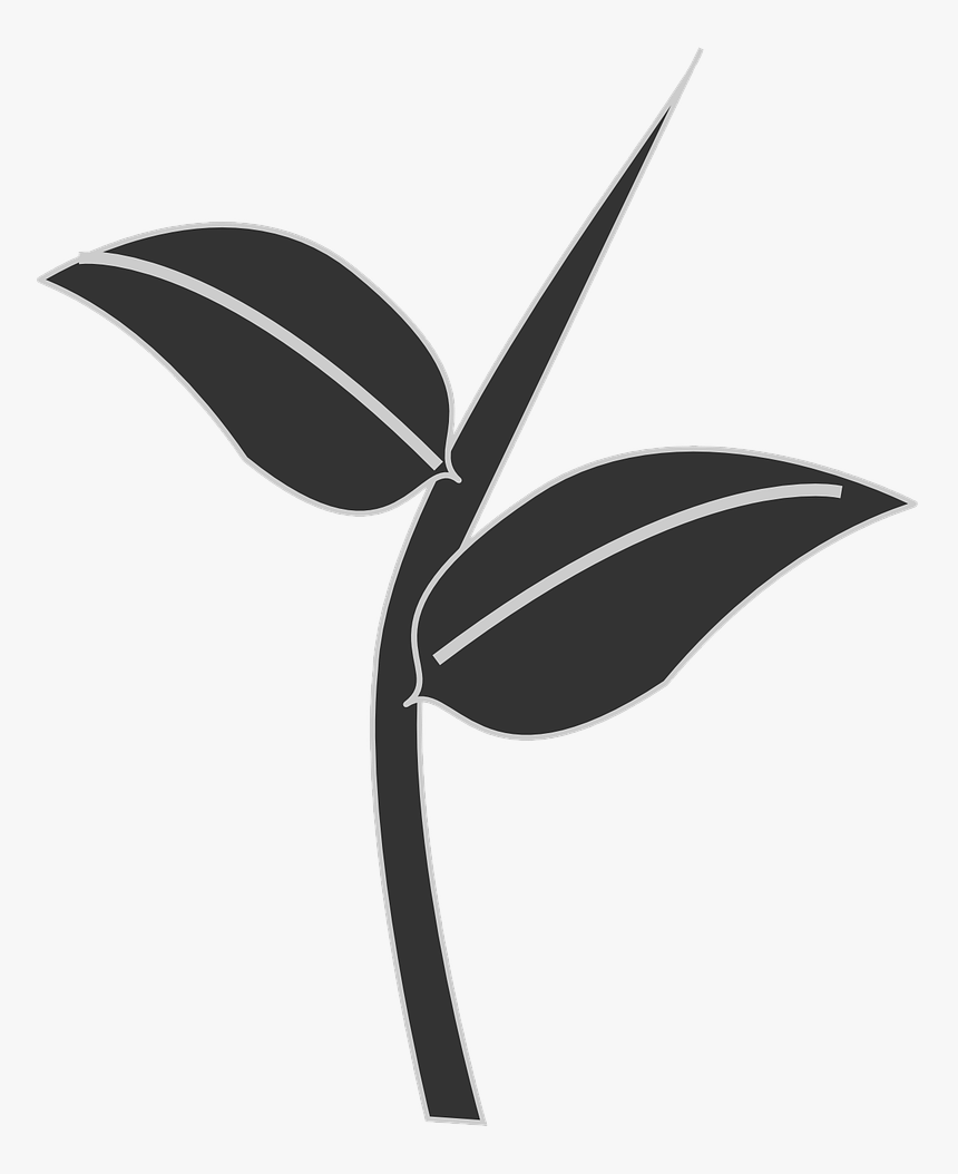 Leaf Silhouette Png, Transparent Png