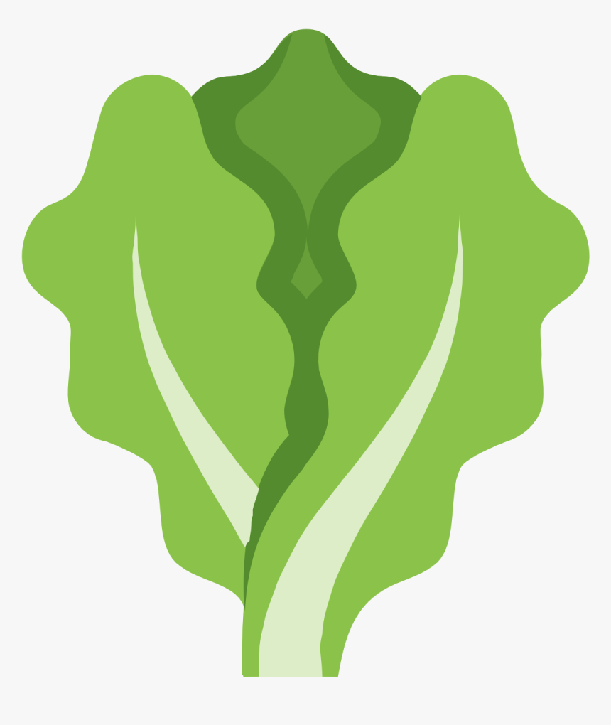 Lettuce Clipart Outline Lettuce Icon Png - Lettuce Icon, Transparent Png