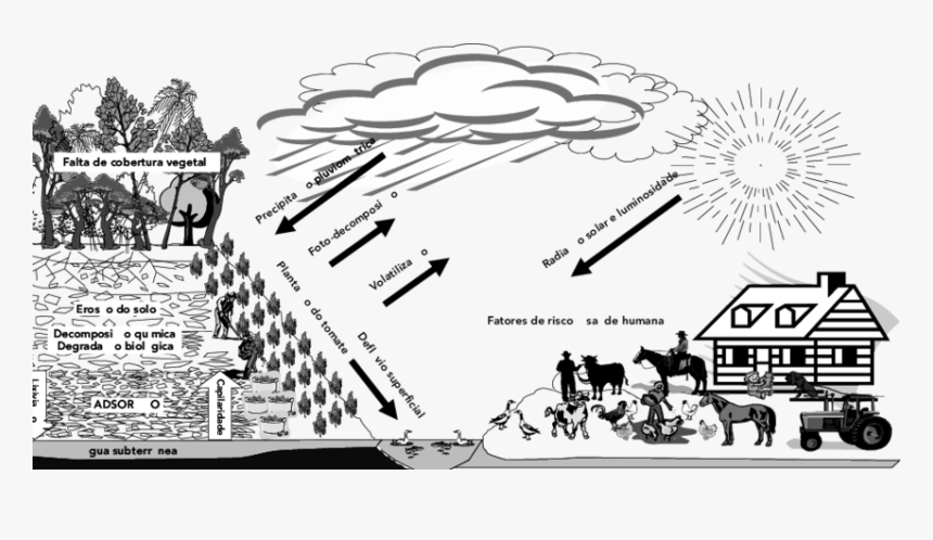 Efeitos Previsíveis Dos Agrotóxicos - Contaminação Do Solo Por Agrotoxicos, HD Png Download