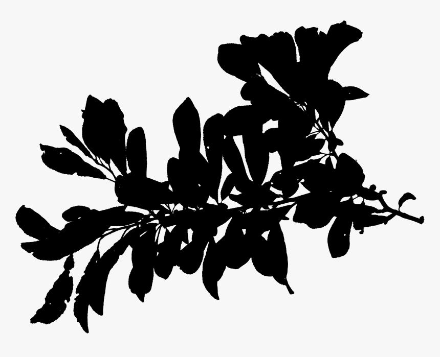 Plant Stem Silhouette Leaf Font Black - Silhouette, HD Png Download