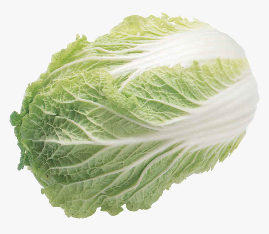 Now You Can Download Salad High Quality Png - Iceberg Lettuce Transparent Background, Png Download