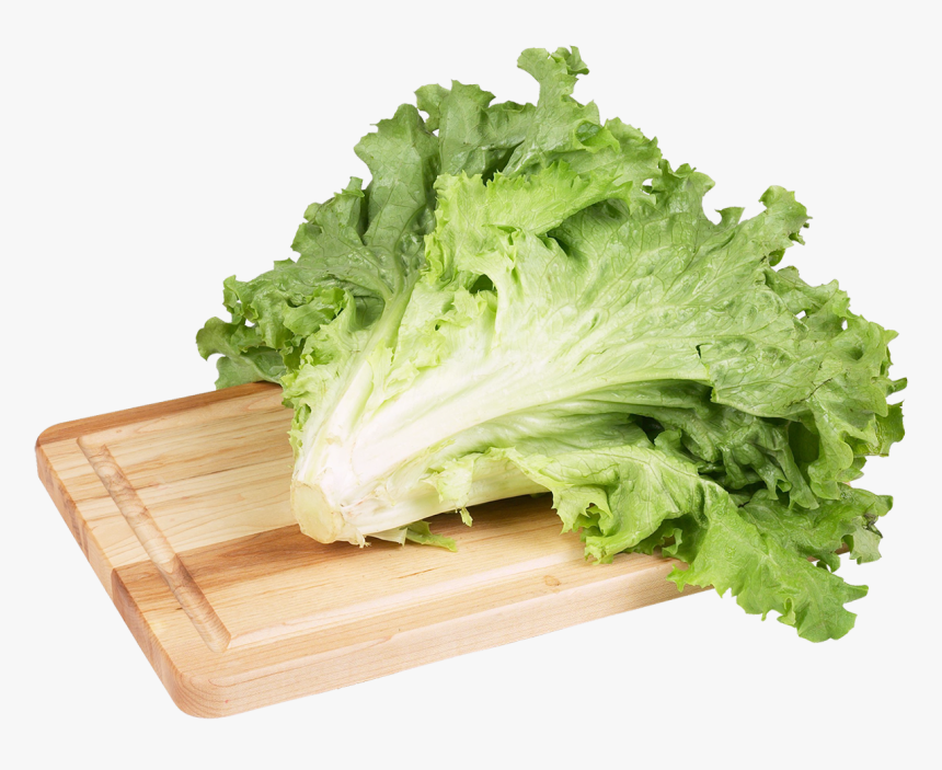 Green Salad Lettuce Image Hd Image Clipart - Imagens De Um Alface Png, Transparent Png