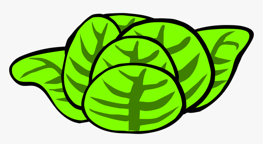 Transparent Salad Icon Png - Lettuce Clip Art, Png Download