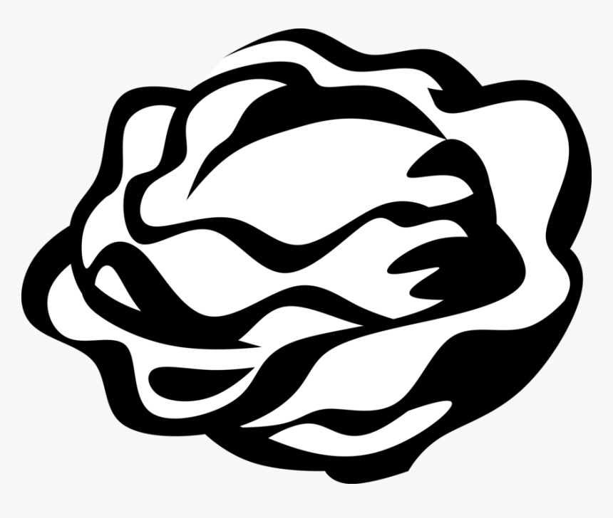 Clip Art Salad Green Image Illustration - Alface Vetor, HD Png Download