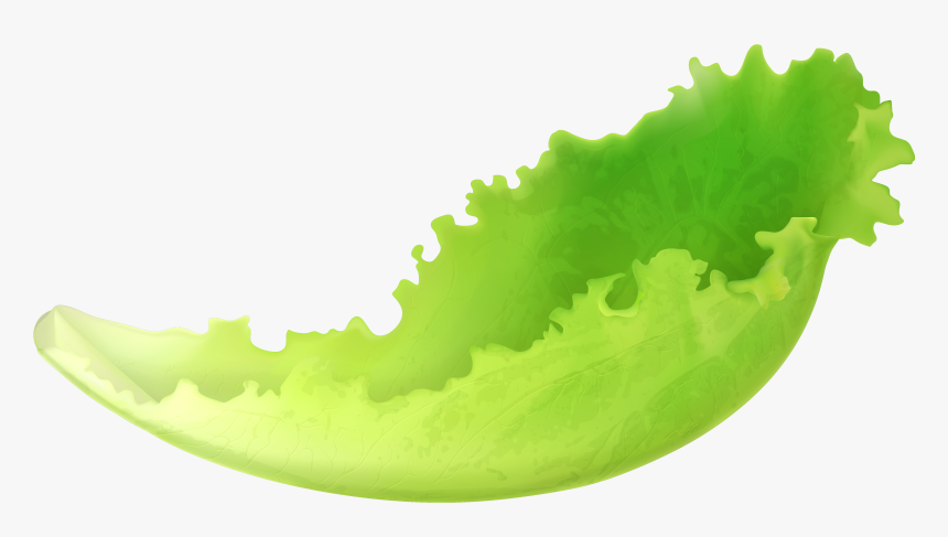 Leaf Lettuce Png Clipart - Lettuce Leaf Clip Art, Transparent Png