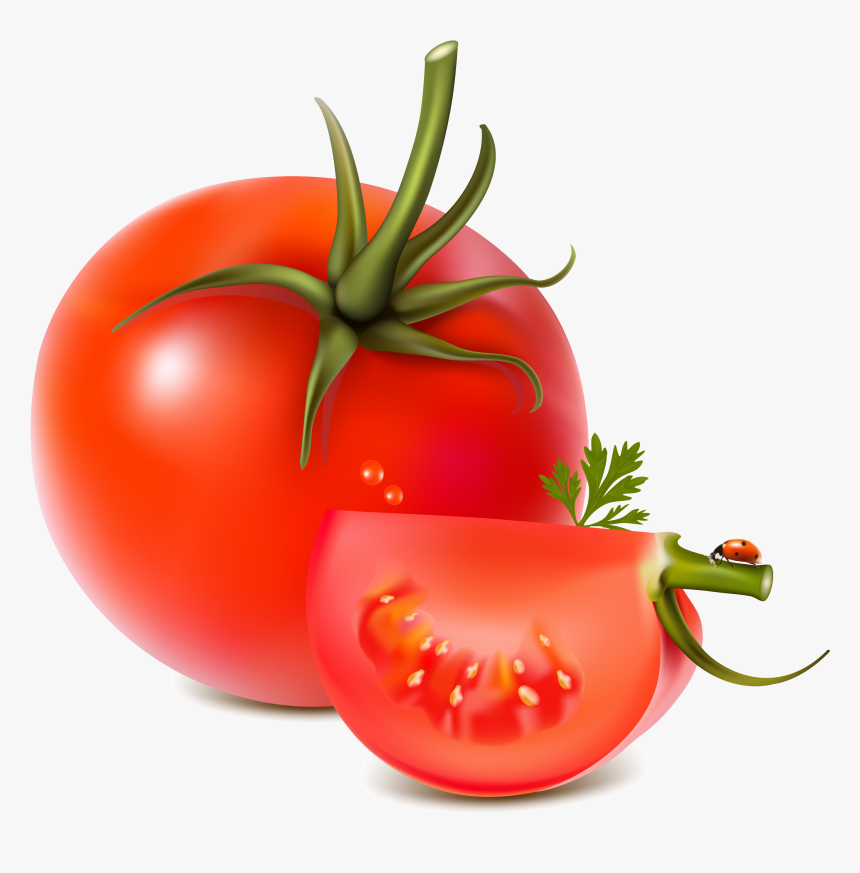 Red Tomatoes Png Image - Vegetables Fruits Vector Free, Transparent Png
