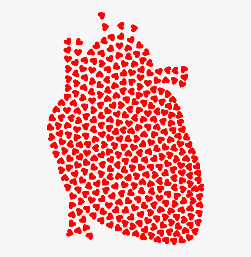 Anatomy Of The Heart Clipart - Filter With Holes, HD Png Download