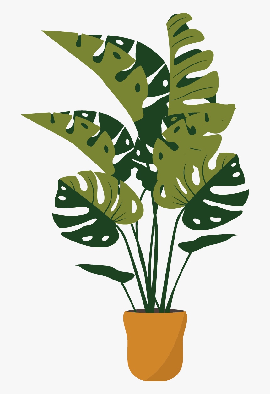 Plant Png, Transparent Png