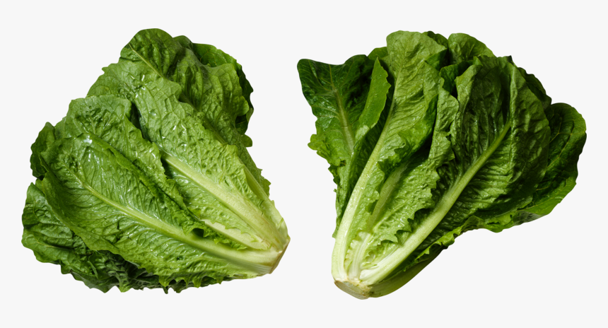 Salad Icon Png, Transparent Png