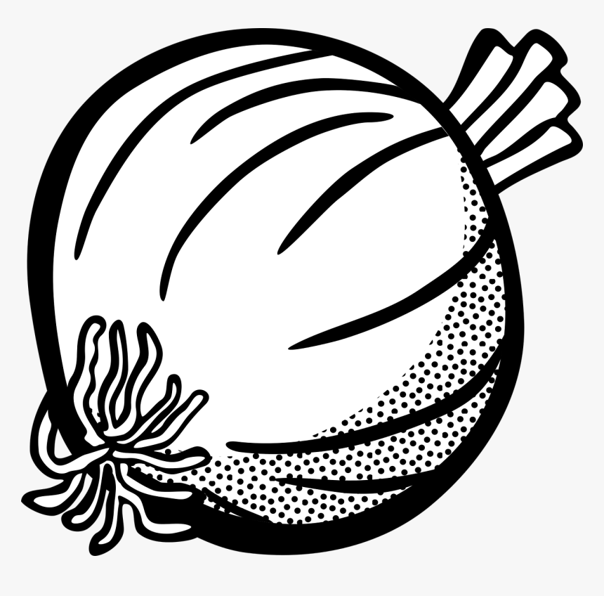 Onion Black And White Clipart, HD Png Download