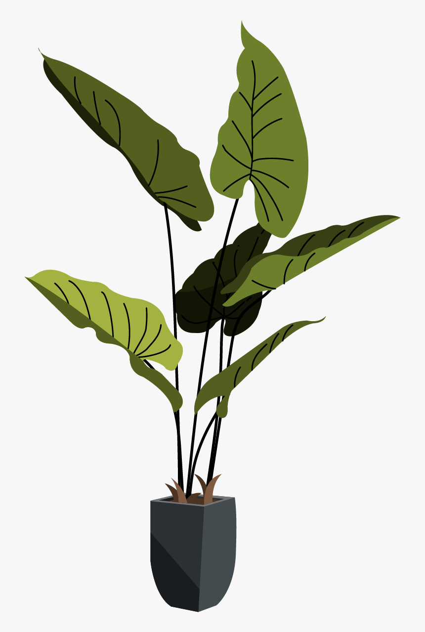 Flowerpot, HD Png Download