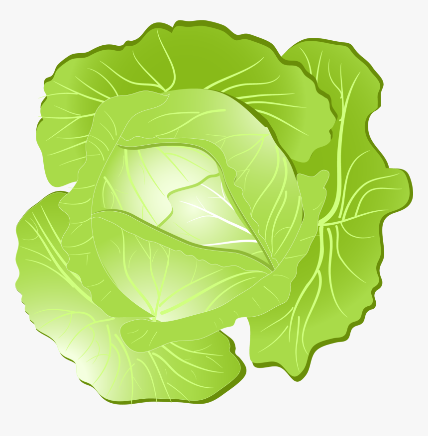Collard Greens, HD Png Download