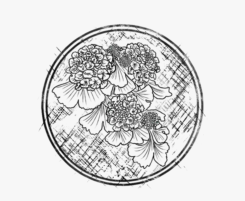 Chassia And Teylon - Line Art, HD Png Download