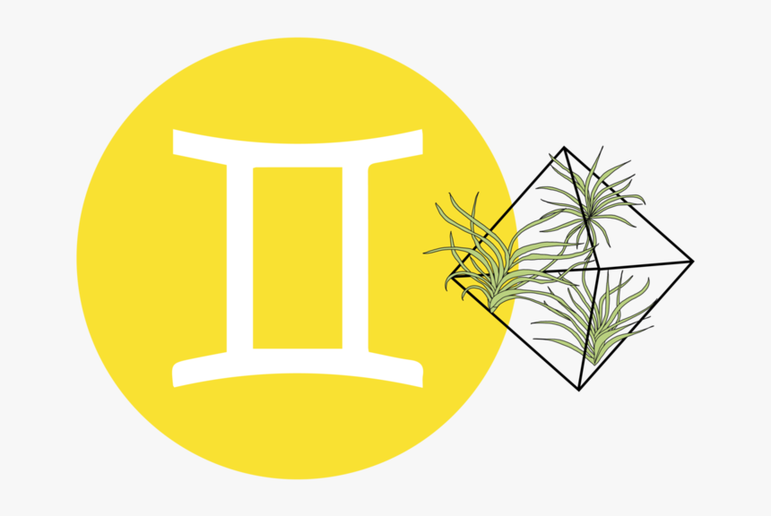 Savannah Pryfogle - Emblem - Emblem, HD Png Download