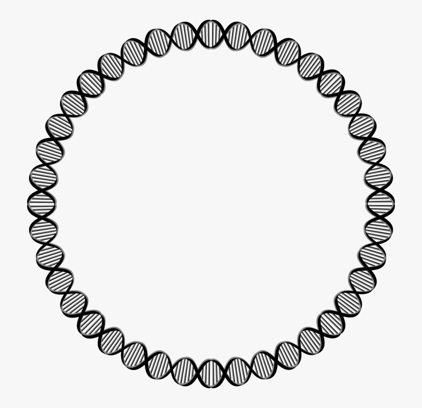 Body Jewelry,fashion Accessory,jewellery, HD Png Download