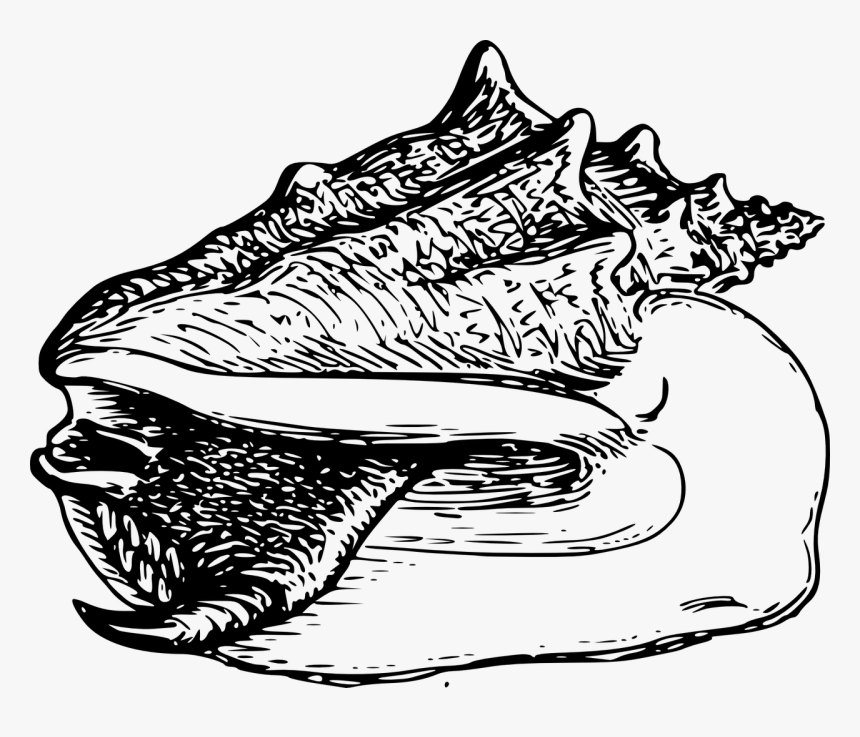 Portable Network Graphics, HD Png Download