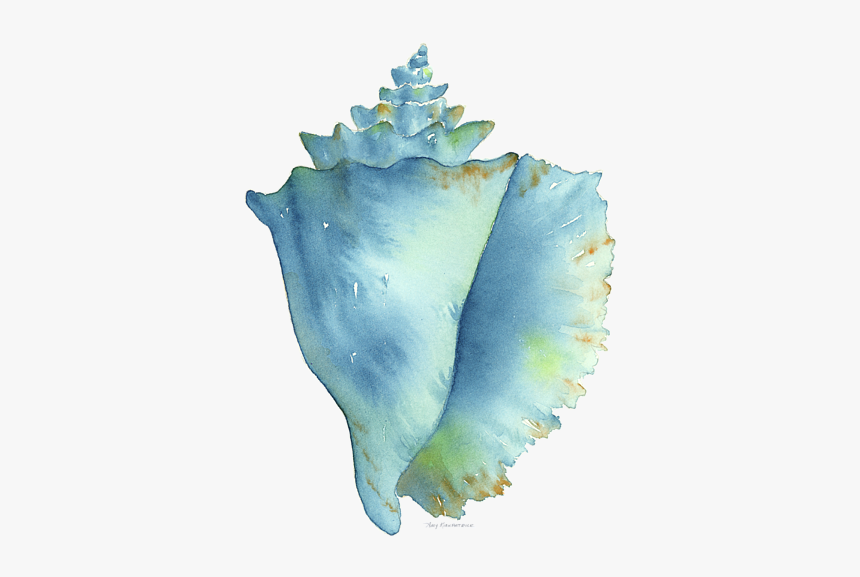 Blue Conch Shell, HD Png Download