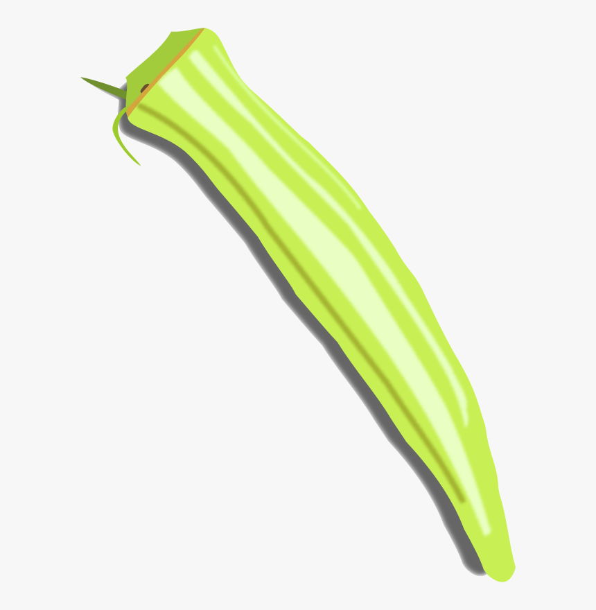 Vegetable,plant Stem,grass - Okra Clip Art, HD Png Download