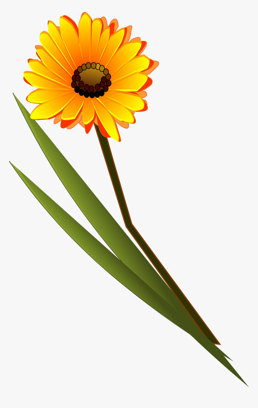 Flower Clip Art, HD Png Download