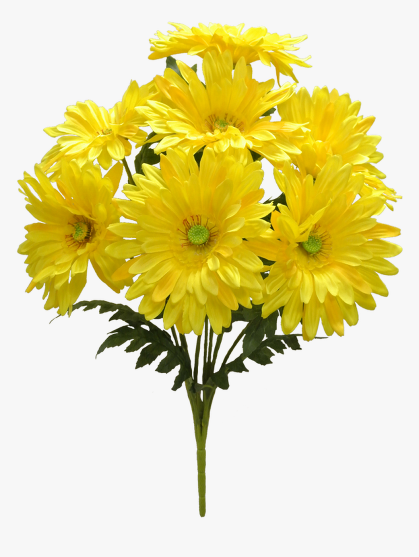 21 - Chrysanths, HD Png Download