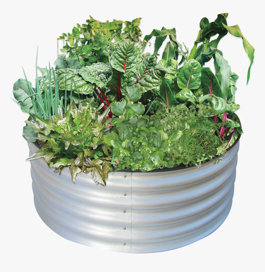 Circular Garden Bed, HD Png Download