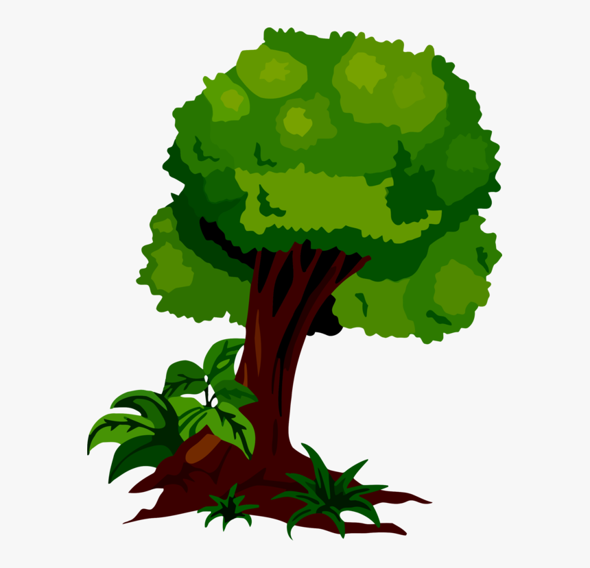 Leaf Vegetable,plant,flower - Plants, HD Png Download