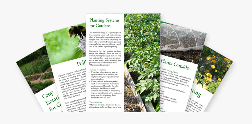 Veggie Gardening Guides And Tips - Plantation, HD Png Download