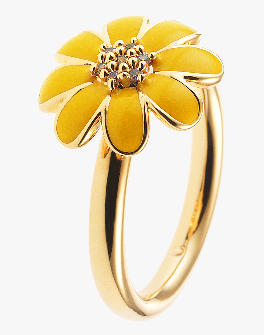 Pre-engagement Ring, HD Png Download