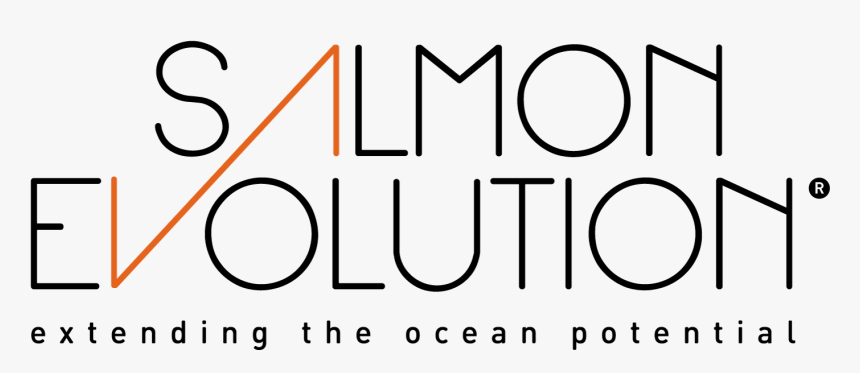 Line Art, HD Png Download