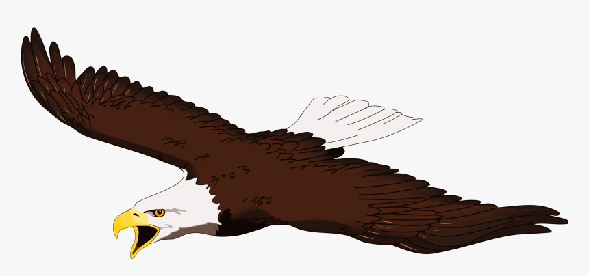 Flying Eagle Clip Art - Clip Art Soaring Eagle, HD Png Download