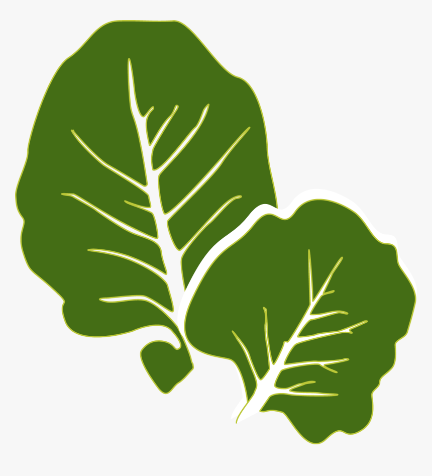 Collards Clipart Transparent - Transparent Collard Green Leaves, HD Png Download