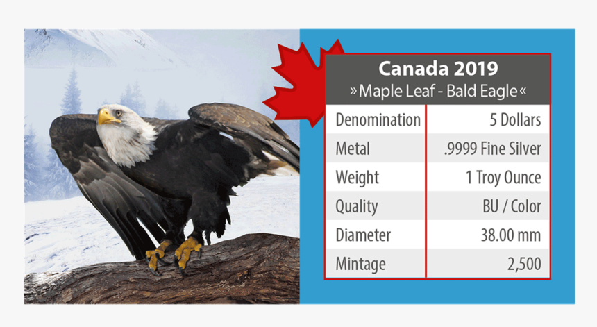 Ibca201957 4 - Maple Leaf Bald Eagle Cana Coin, HD Png Download