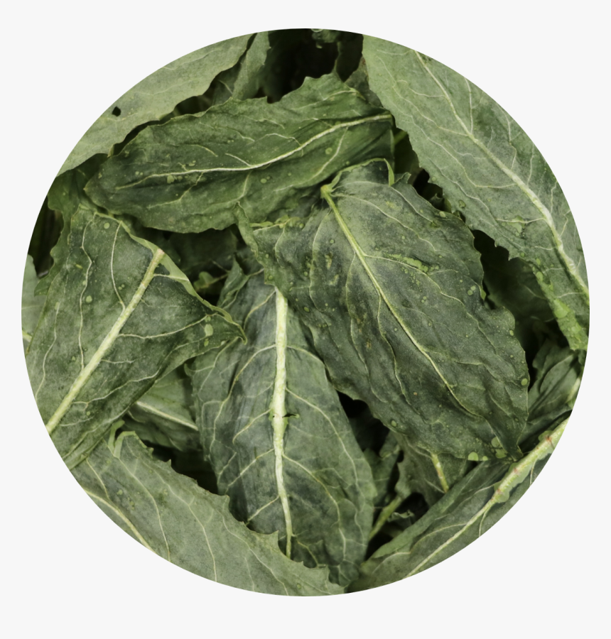 Dandelion Greens - Collard Greens, HD Png Download