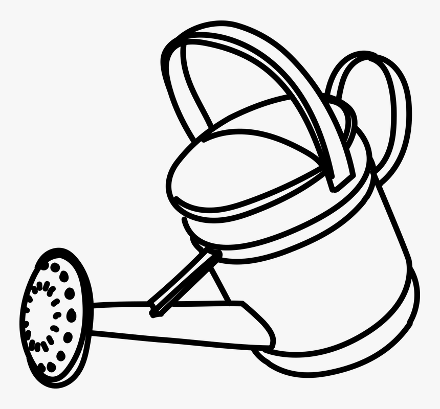 Shower, Water, Plants - Water Plant For Coloring, HD Png Download