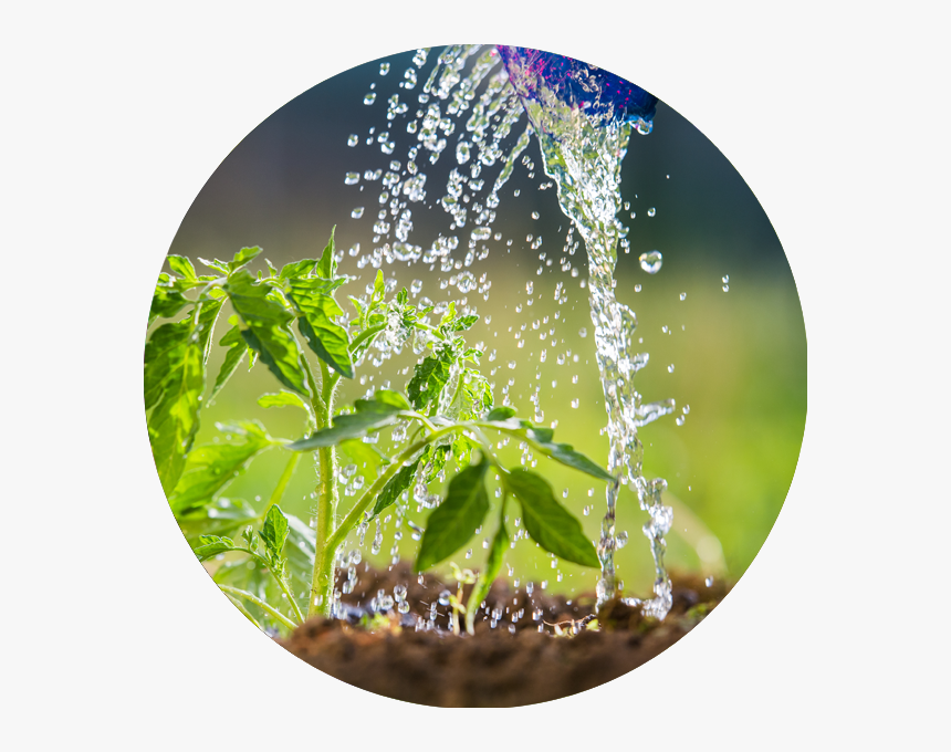 Circle, HD Png Download