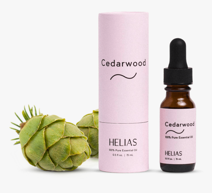 Cosmetics, HD Png Download