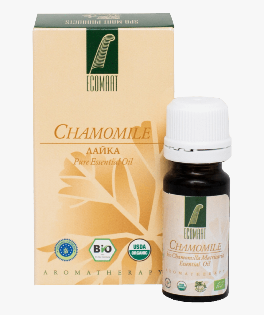 Juniper Drawing Essential Oil , Transparent Cartoons - Clary, HD Png Download